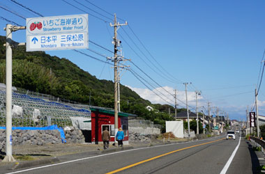 いちご海岸通り