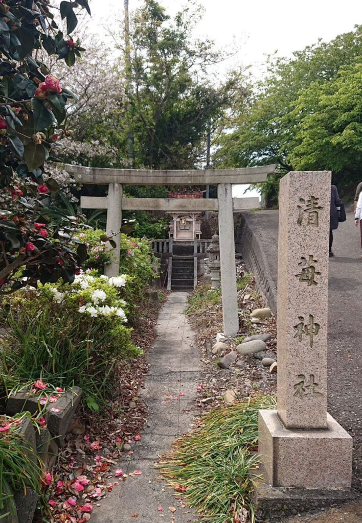 【いちご神社】清苺神社